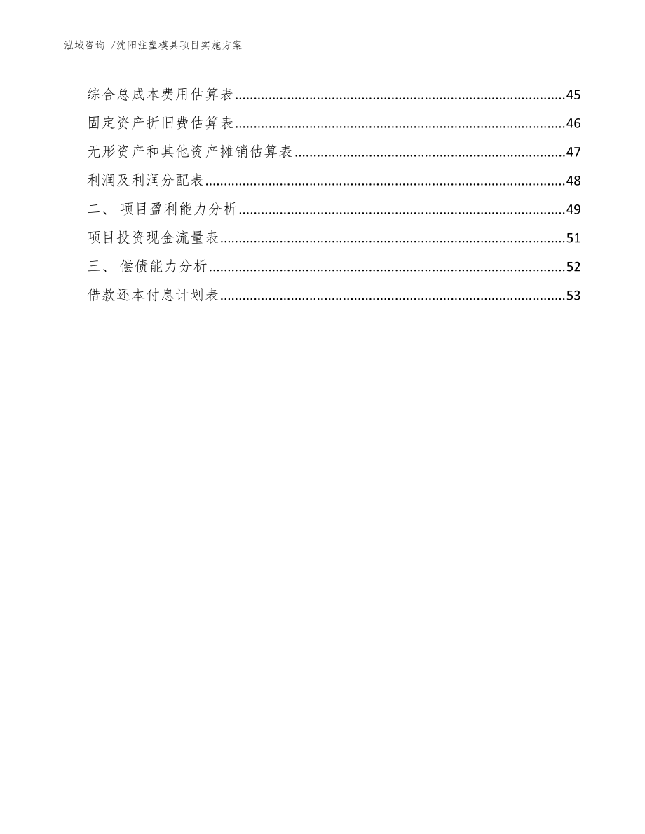 沈陽注塑模具項目實施方案(參考模板)