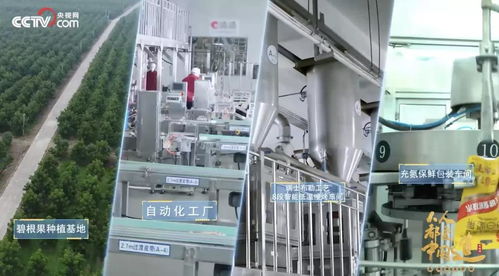 央視再播洽洽透明工廠,探洽洽如何引領行業新鮮革命