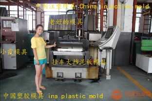 2010新款格柵模具 沈陽注塑模具的創新與應用